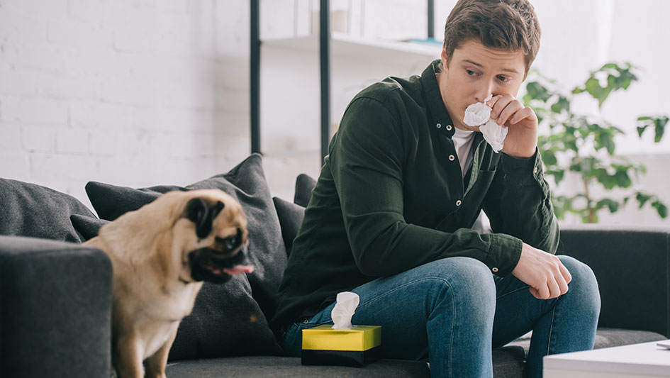 Installing an air purifier is one of the wisest approaches to enhance your residence’s indoor air quality. Learn more about the three best solutions. 